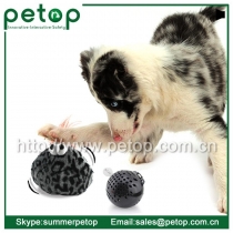 Wholesale Cat Dog Crazy Ball Toys